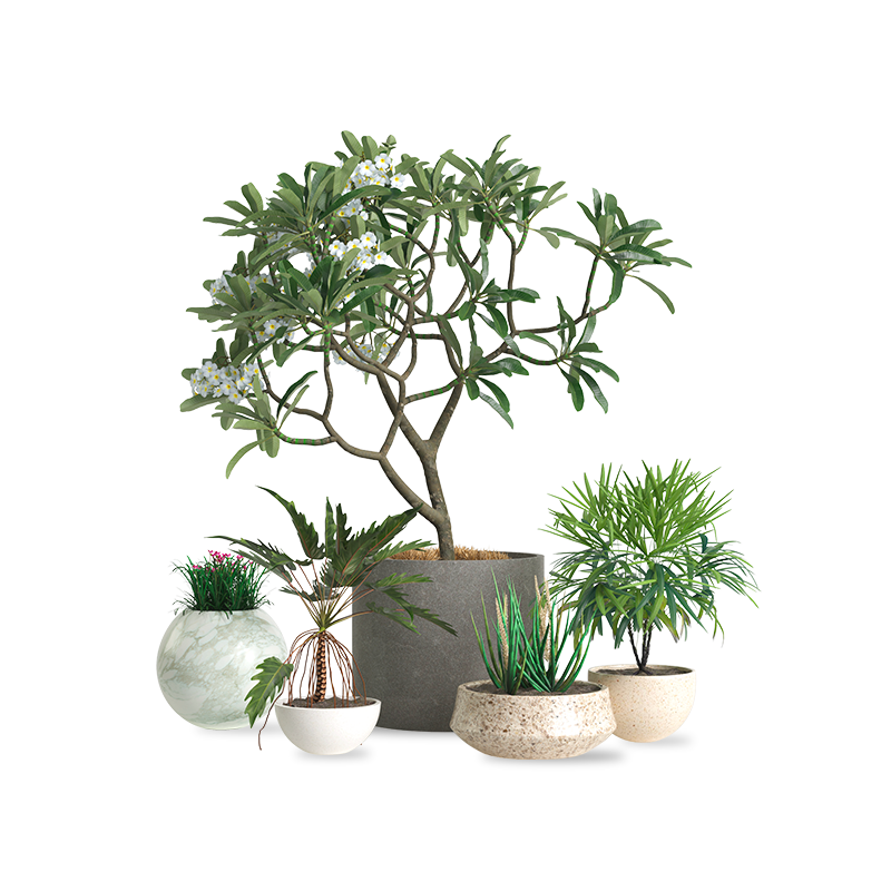 Fiori e piante artificiali