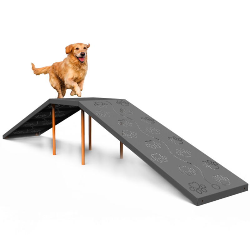 Giochi e Agility