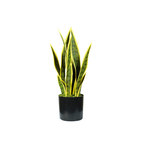 garden friend pianta sansevieria in polietilene con 12 foglie in vaso con muschio 45cm ean 8023755056735