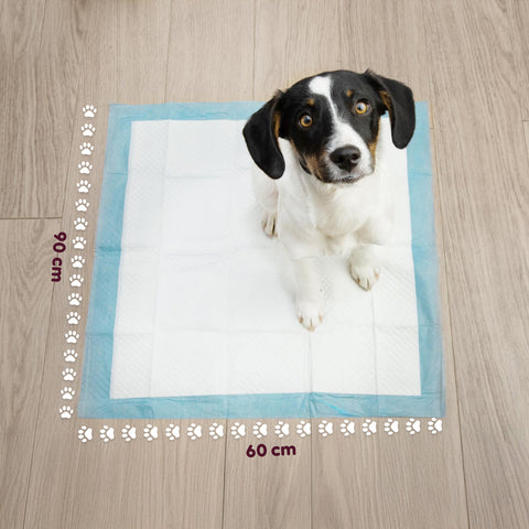 Tappetini Igienici Traversine Essential Pannolini 60×90 – Set Multi Formato con Adesivi
