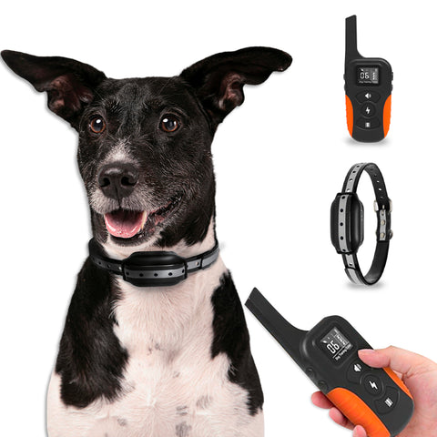 Collare Educativo Cani Taglia Grande/Piccola - Impermeabili e Controllo fino a 1000m