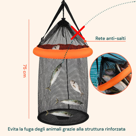 Rete da Pesca Portatile 75 cm in PP Resistente con Sistema Anti-Fuga