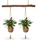 avilia set 2 portavasi in macrame intrecciato a mano con ganci a s ean 8056819053371