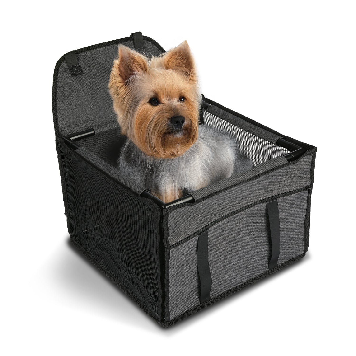 Yorkshire Terrier comodo e sicuro nel seggiolino auto grigio con rete traspirante e apertura frontale per cani piccola taglia