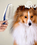 immagine-3-visto-in-tv-spazzola-ionica-per-animali-domestici-ean-4899888101888