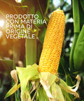 immagine-4-maisonrouge-bottiglia-1l-bioetanolo-denaturato-96-ean-8054806360105