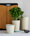 immagine-8-wenko-barattolo-per-alimenti-parla-in-bambu-125l-ean-4008838250679